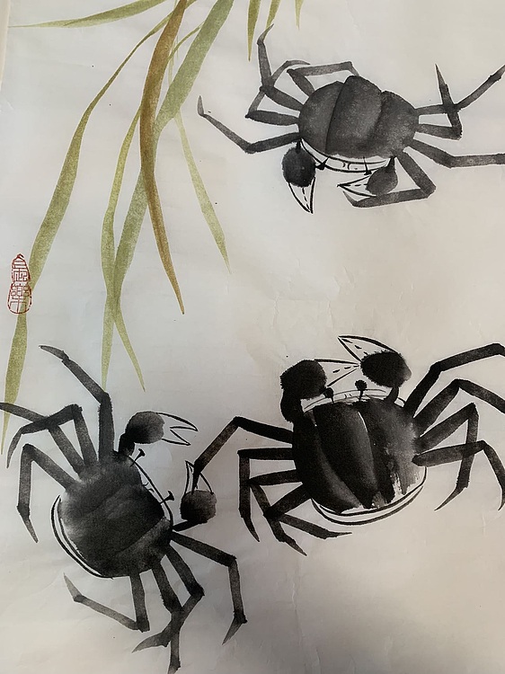 诗淇 蟹蟹