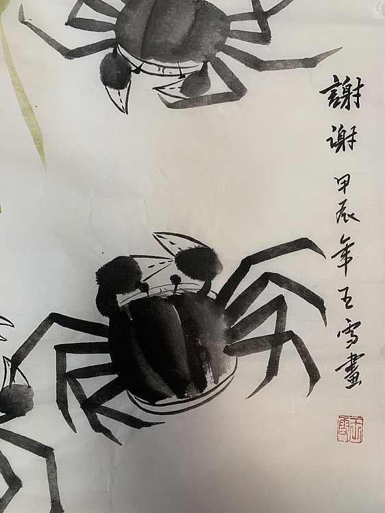 诗淇 蟹蟹