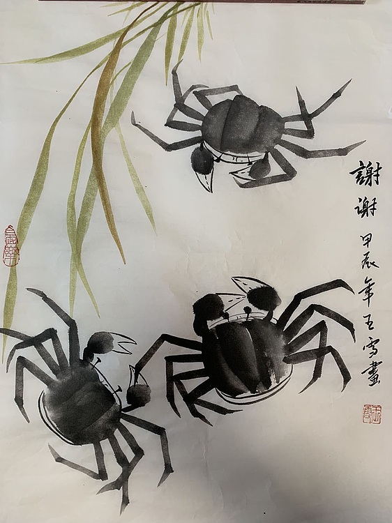 诗淇 蟹蟹
