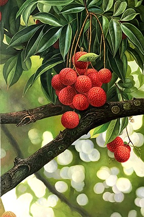 黄紫兰 油画荔枝