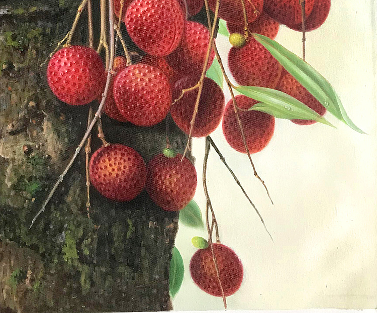 黄紫兰 油画荔枝