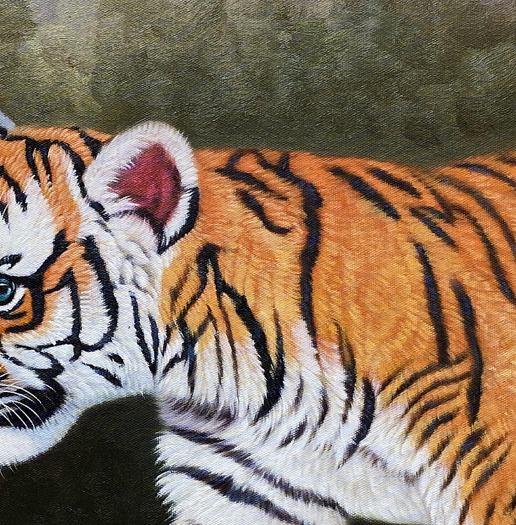 黄紫兰 油画老虎