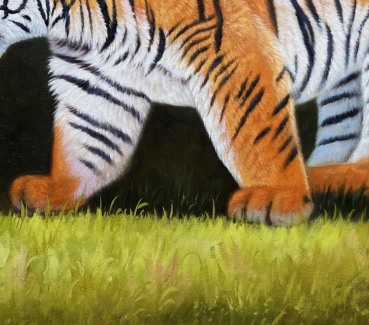 黄紫兰 油画老虎