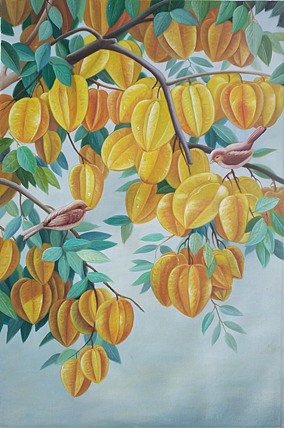 黄紫兰 油画杨桃
