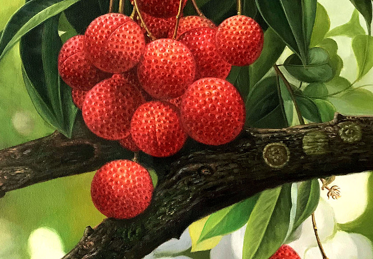黄紫兰 油画荔枝