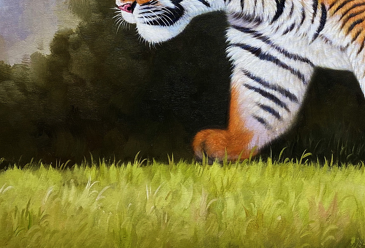 黄紫兰 油画老虎