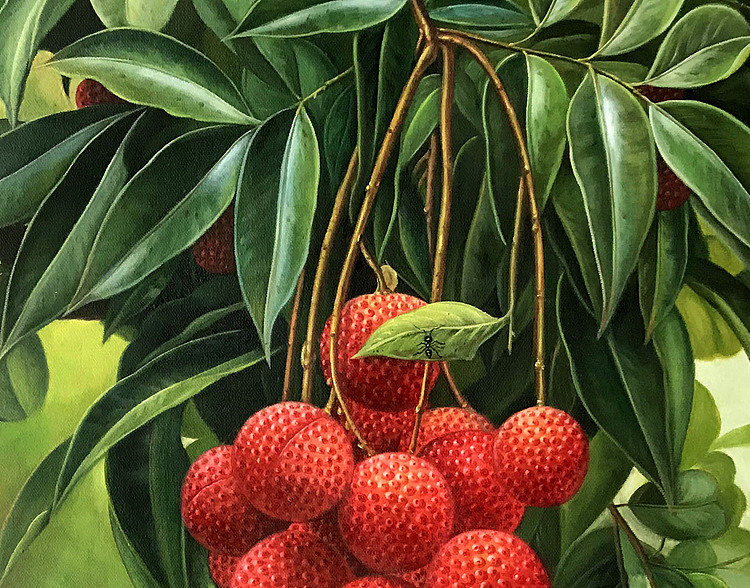 黄紫兰 油画荔枝