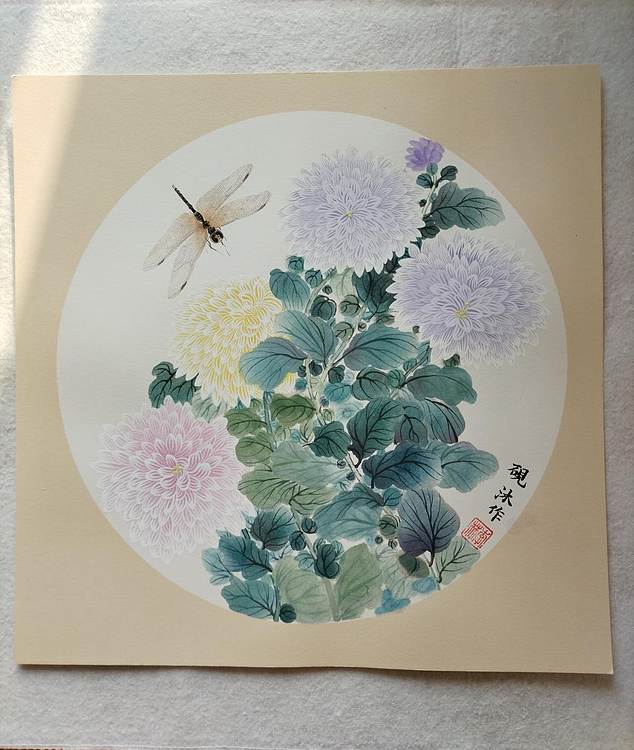 砚沐 菊花蜻蜓