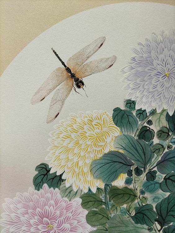 砚沐 菊花蜻蜓