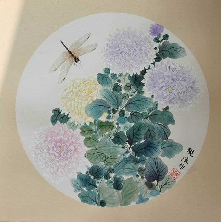 砚沐 菊花蜻蜓