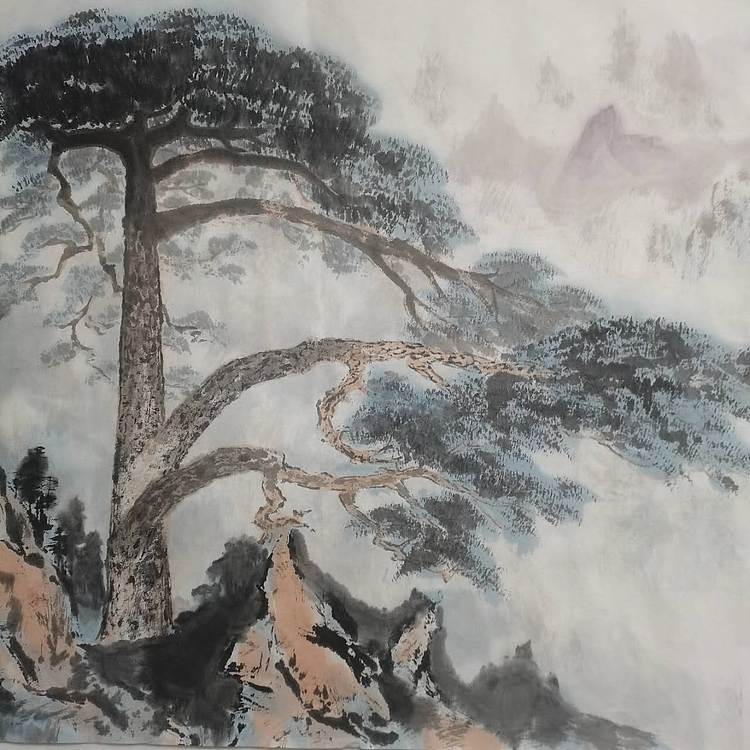 秦广宁 迎客松