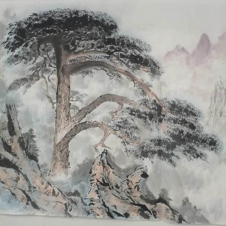秦广宁 迎客松