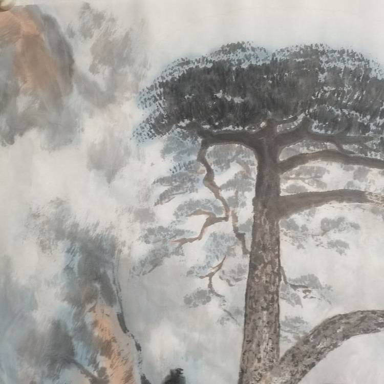 秦广宁 迎客松