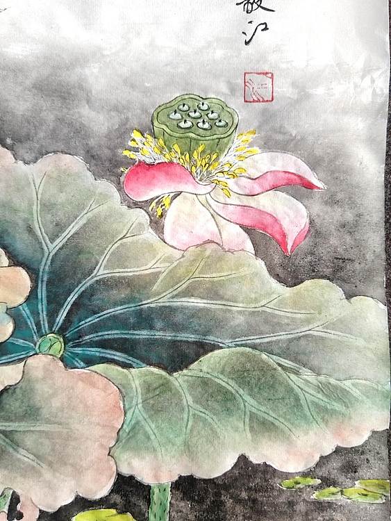 当代著名书画家 醉墨 朱毅江工笔画《荷香》50*50㎝