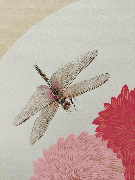 砚沐 蜻蜓菊花湖北美术学院艺术硕士李林作品