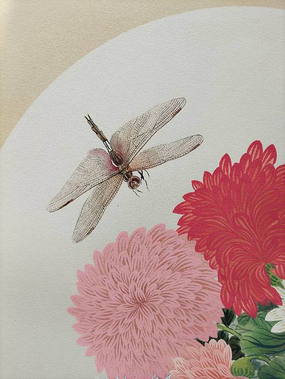 砚沐 蜻蜓菊花湖北美术学院艺术硕士李林作品