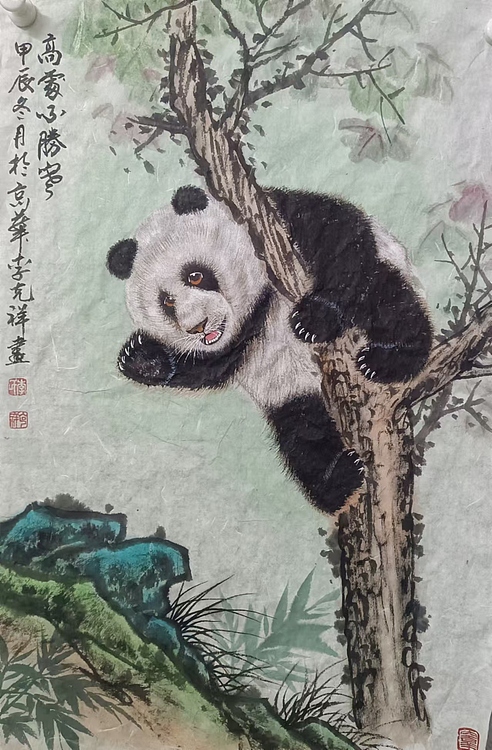 翱翔 高处不胜寒