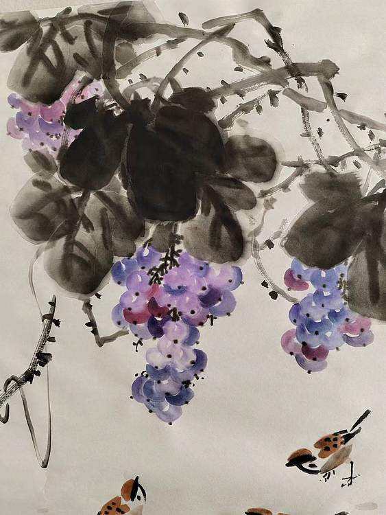 谢长虹 珍珠满架