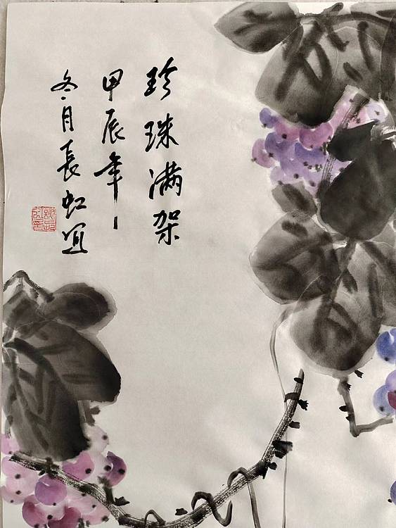 谢长虹 珍珠满架
