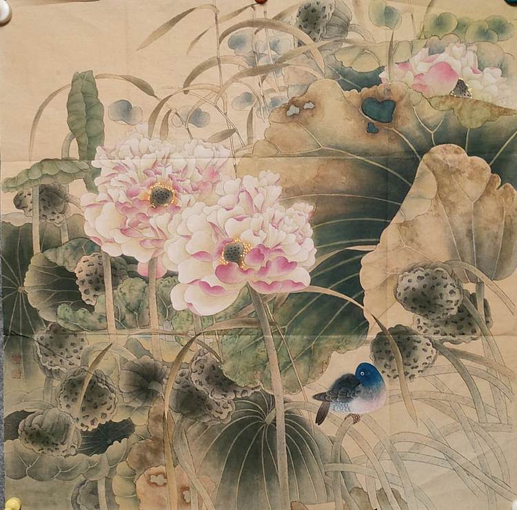 永遇乐 国画 工笔 花鸟