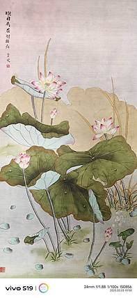 魏兰芝 映日荷花别样红。
