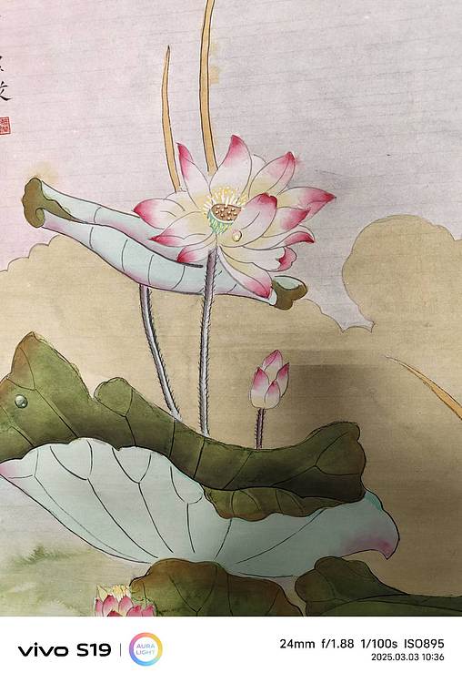 魏兰芝 映日荷花别样红。