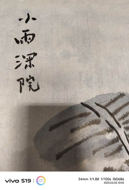 魏兰芝 小雨深院