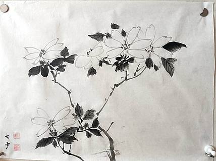 青年书画家 七汐 栀子花开