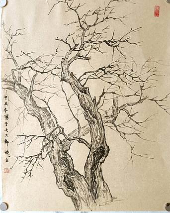 青年书画家 七汐 山水小品