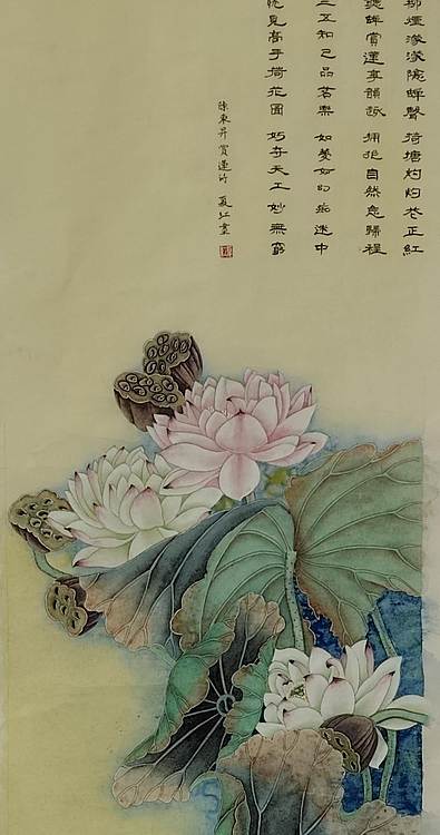 亓夏红 荷花