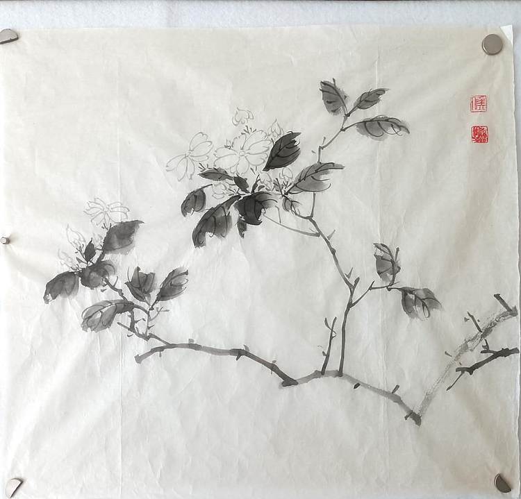 青年书画家 七汐 茉莉花开