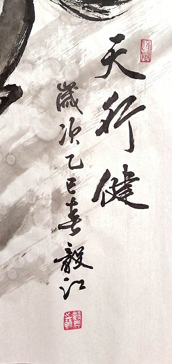 当代著名书画家 醉墨 朱毅江国画作品《天行健》68×45㎝