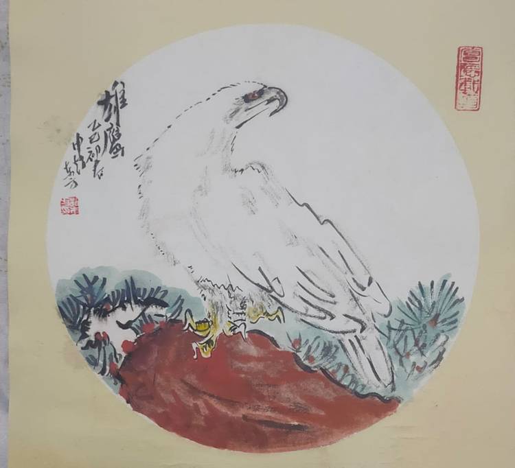赵东方 雄鹰