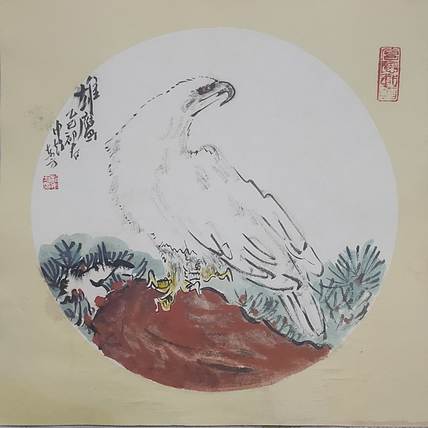 赵东方 雄鹰