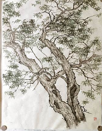 青年书画家 七汐 国画古树