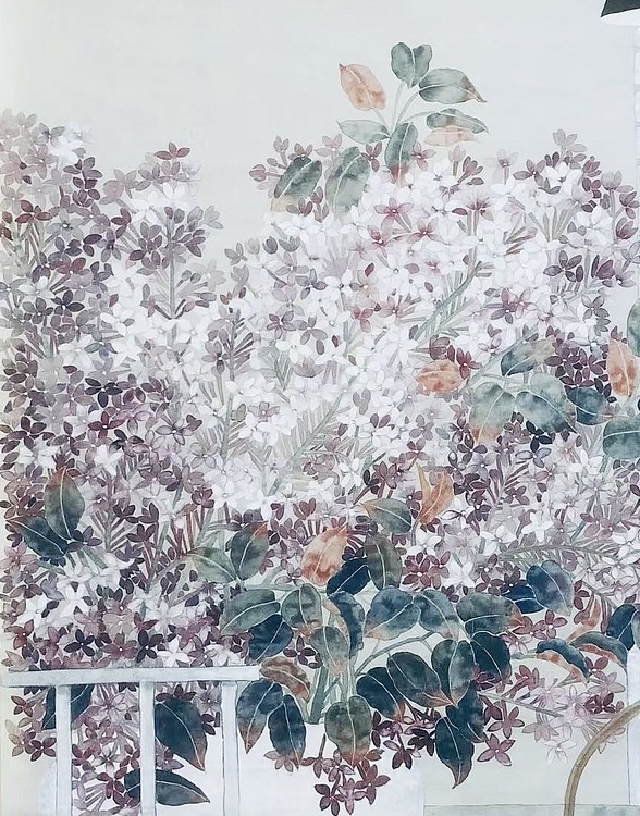 雪中寒蕊 人间四月天