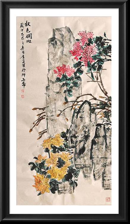 兰花 菊