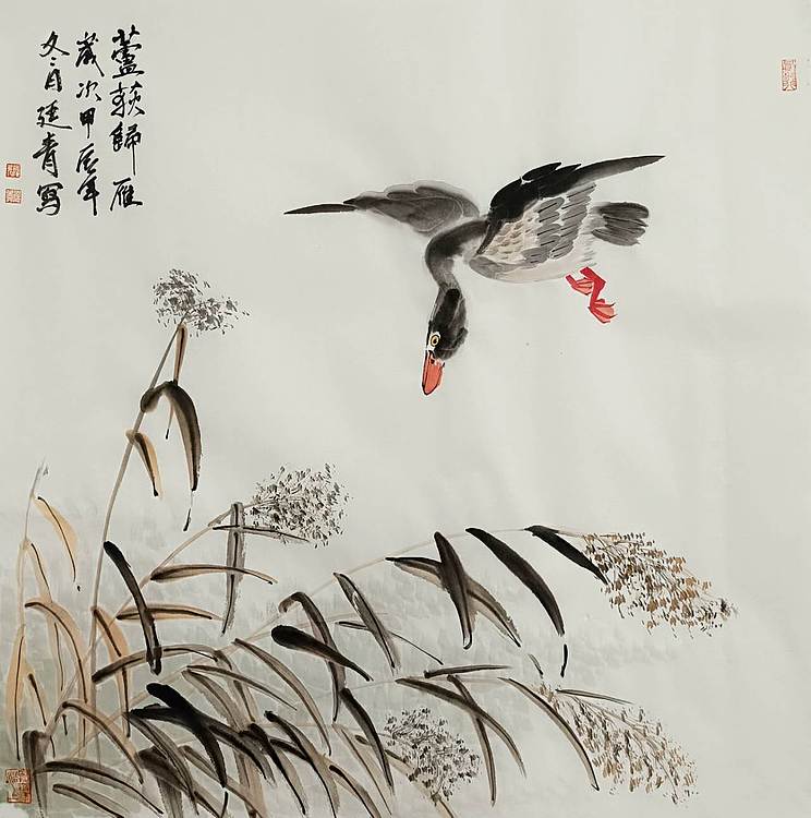 湖北美院国画系 教师，青年潜力 张廷青  《芦荻归雁》