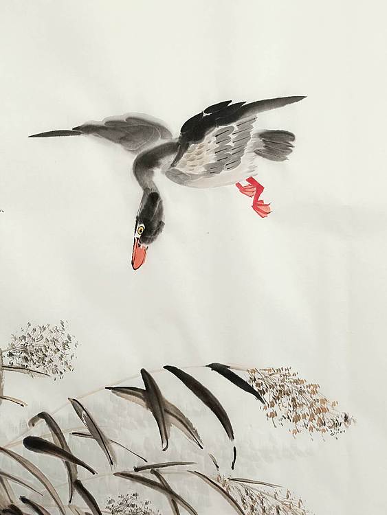 湖北美院国画系 教师，青年潜力 张廷青  《芦荻归雁》