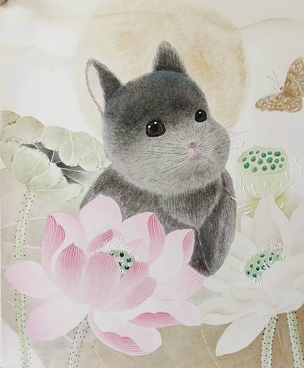 砚沐 小猫荷花
