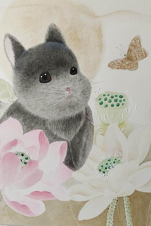 砚沐 小猫荷花