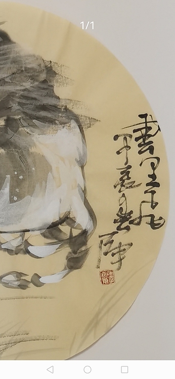一淨 云里飞