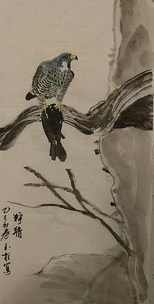 张玉柱 猎鹰