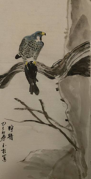 张玉柱 猎鹰