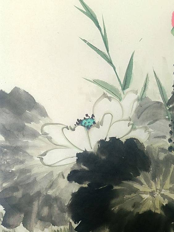 湖北美院国画系 教师，青年潜力 张廷青  荷花翠鸟