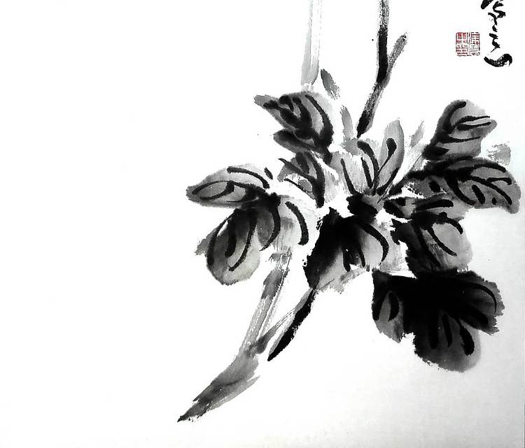 徐慧 国色天香