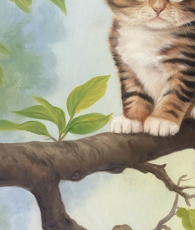 黄紫兰 萌猫