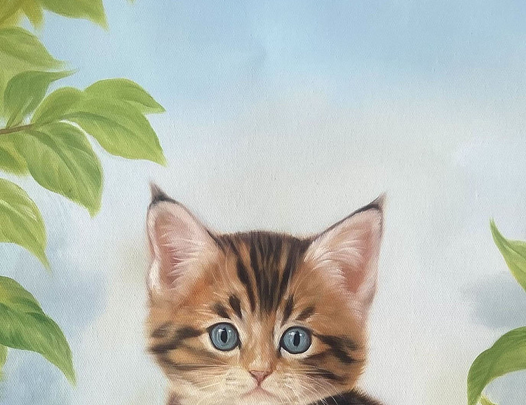 黄紫兰 萌猫