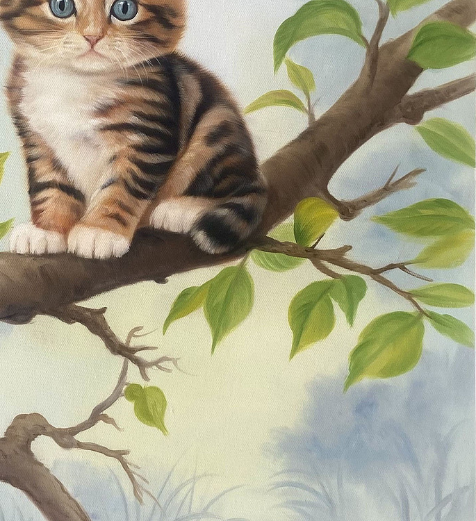 黄紫兰 萌猫
