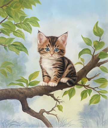 黄紫兰 萌猫